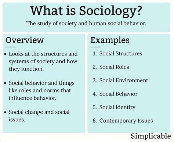 What is the study of sociology