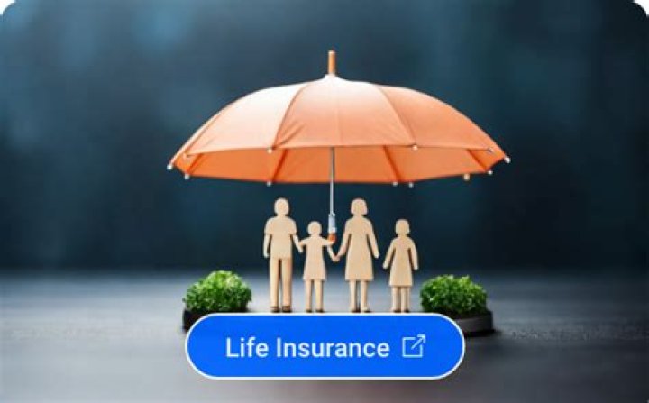 Worldwide Insurance Program - How To Discuss